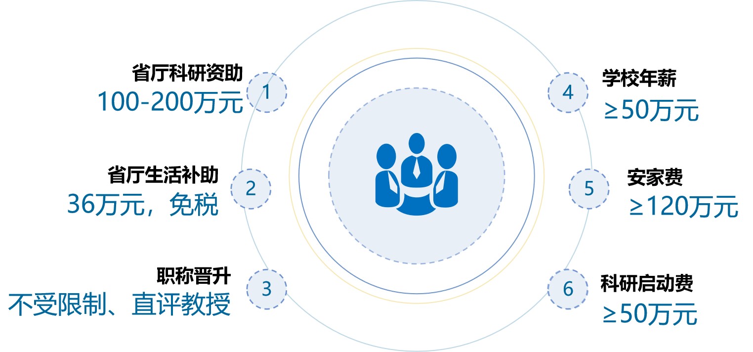 海外引才项目类别
